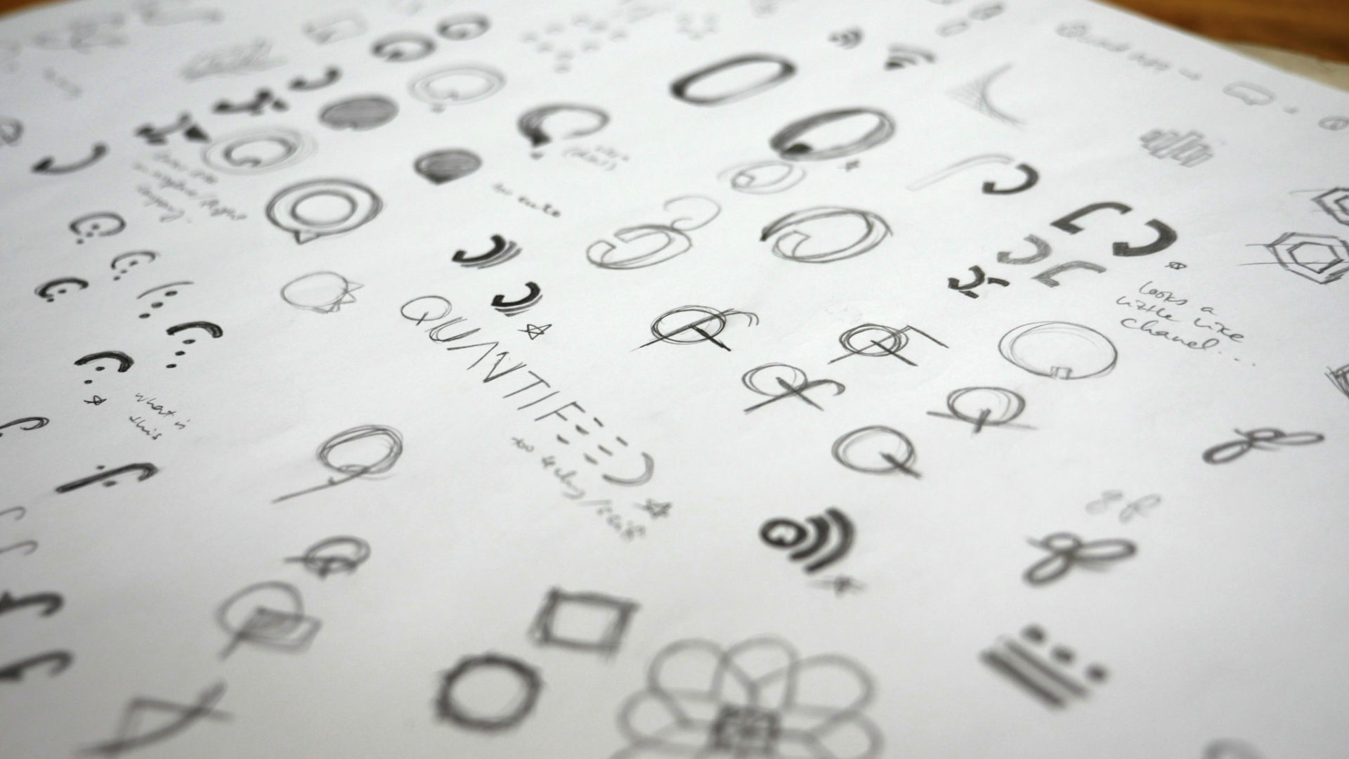 Quantifeed Branding Sketches